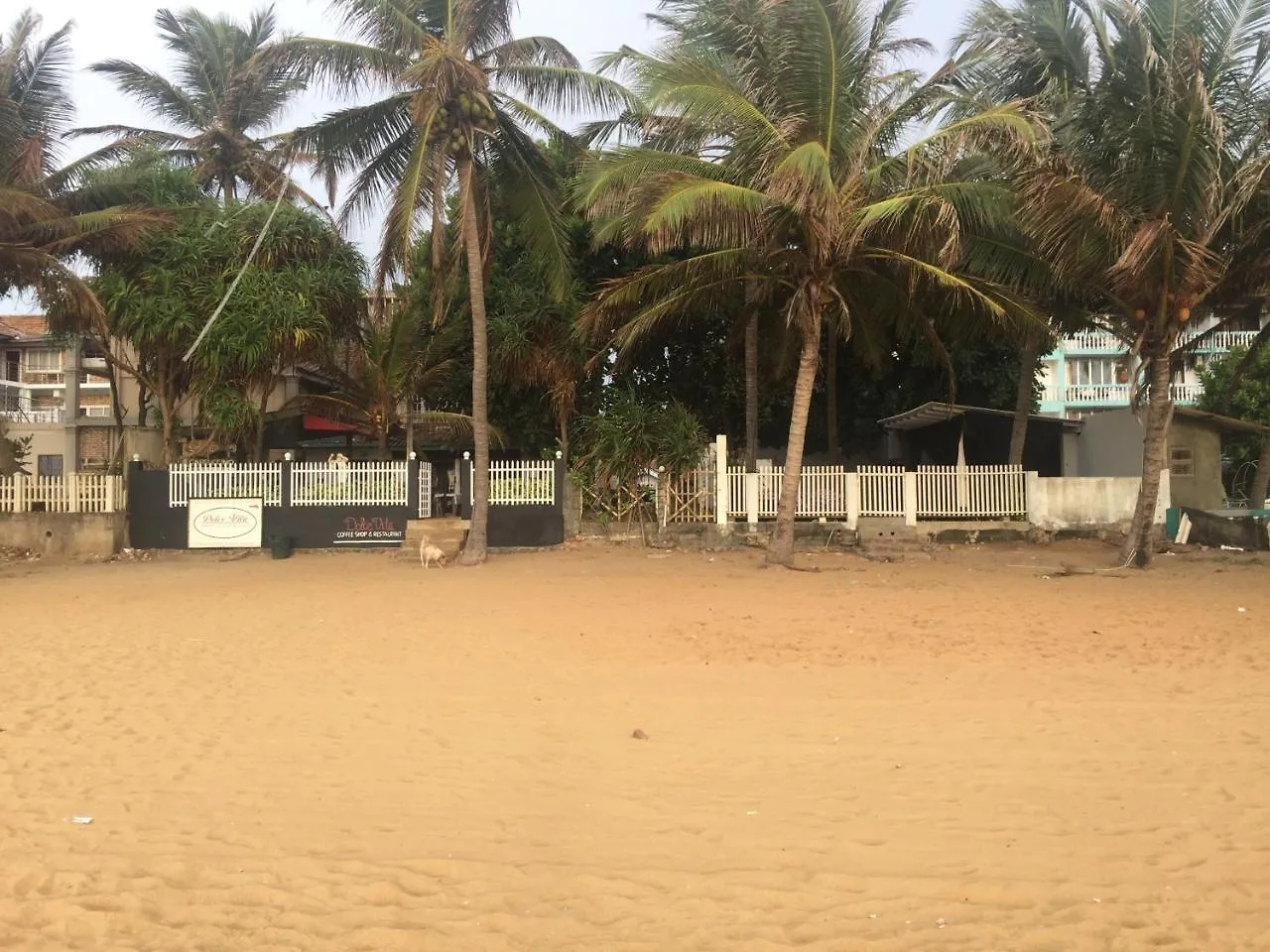 Sea Sands Beach Hostel Negombo