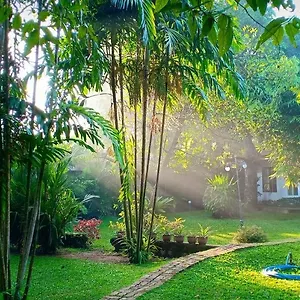 mango-house-japanese-guest-house.negombohotels.net/